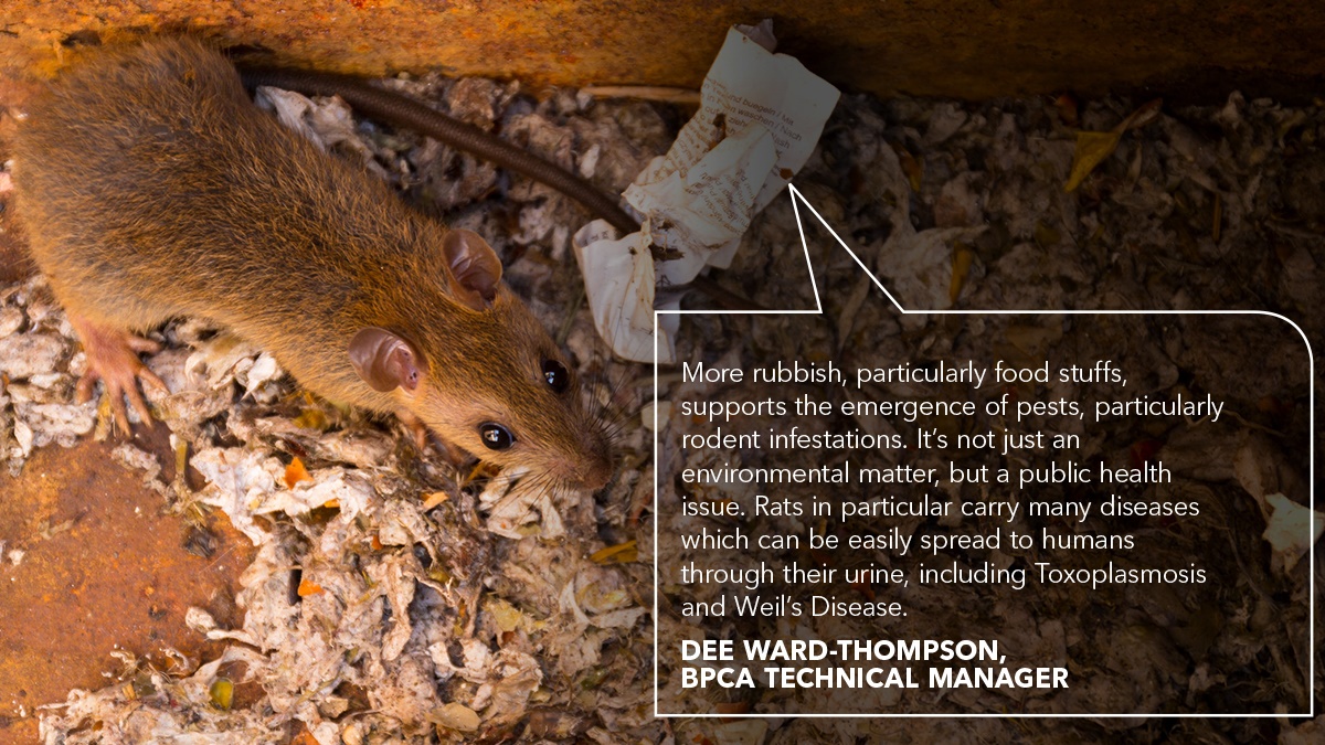 More rubbish means more rats More rubbish means more rats